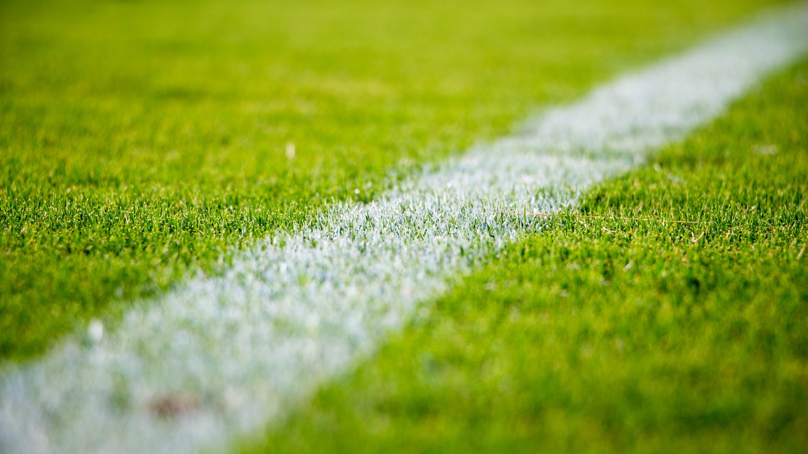 Football pitch close-up